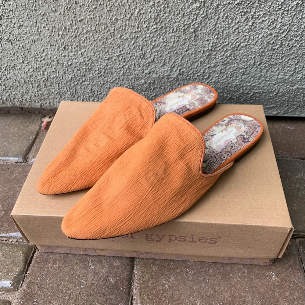 Band of gypsies landslide mules